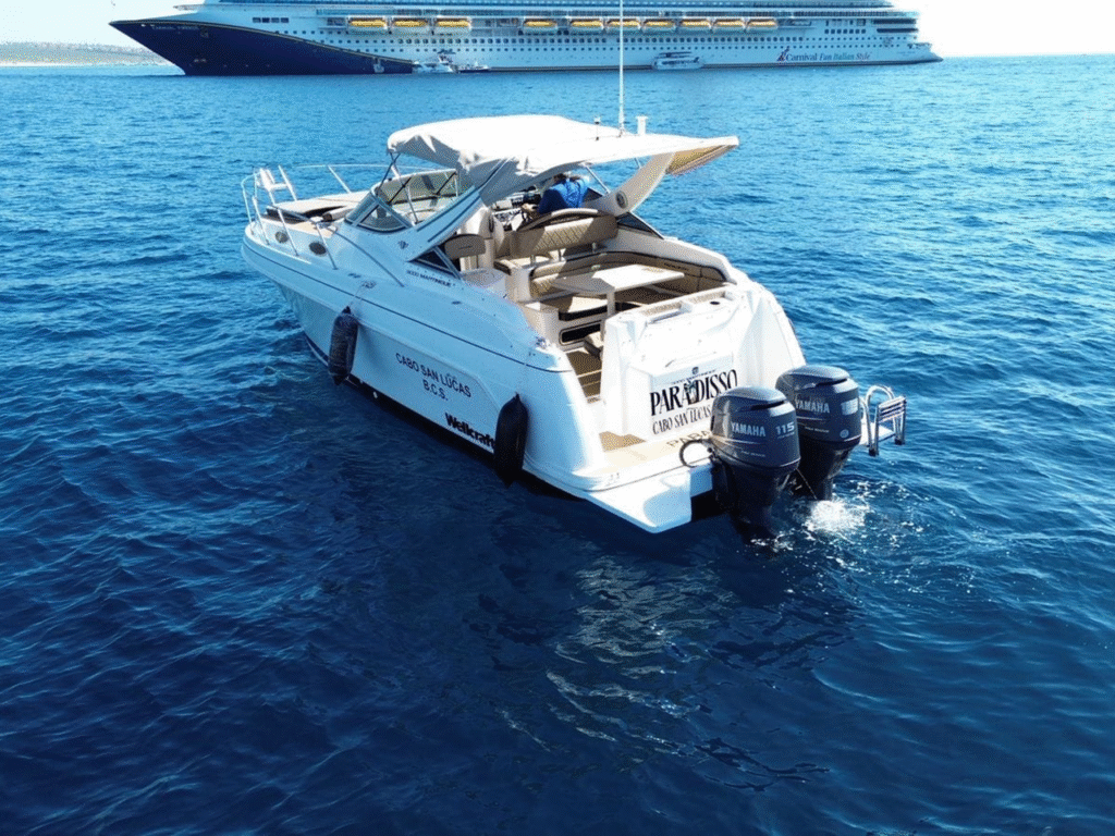 33' Wellcraft Paradisso 2