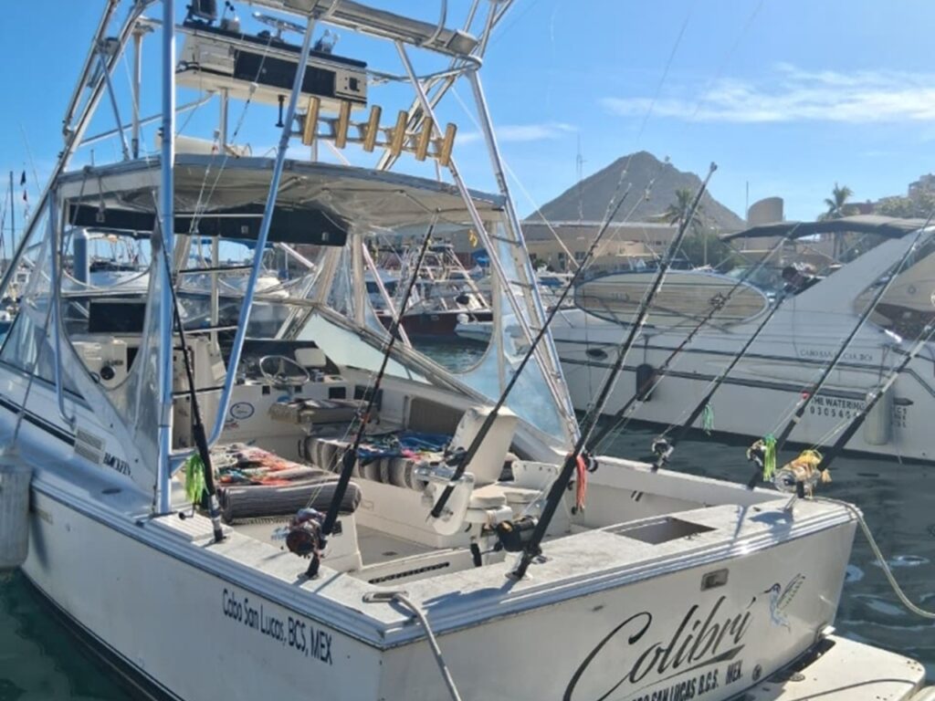 31' Blackfin Express Calibri Side