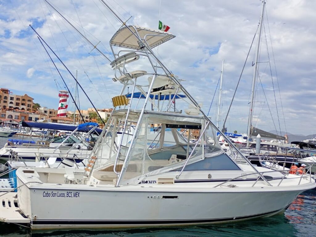 31' Blackfin Express Calibri Side Profile