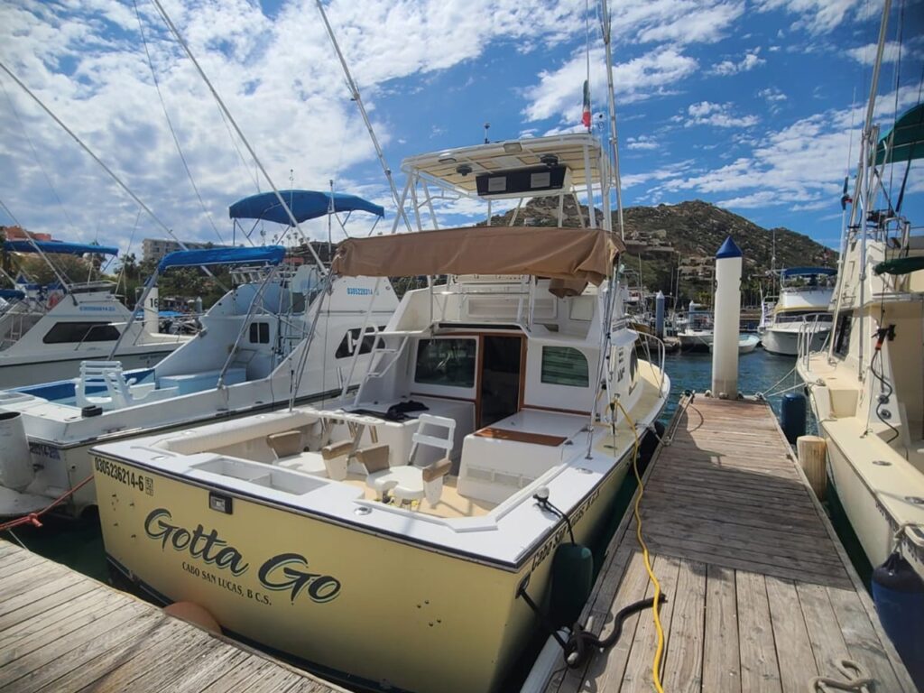 32' Gotta Go Back Deck